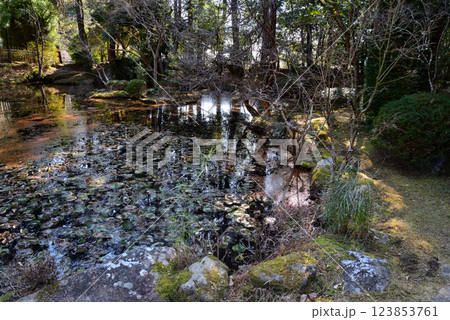 板敷山大覚寺 #67 板敷山大覚寺 #67 123853761