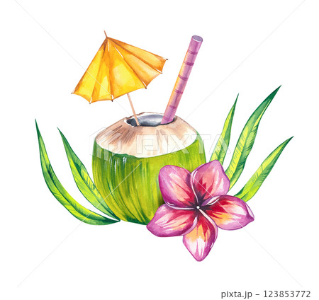 Watercolor coconut hand drawn nut Watercolor coconut hand drawn nut 123853772