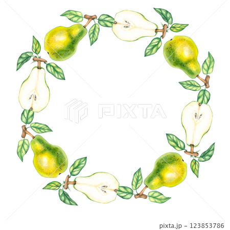 Watercolor pears isolated wreath botany Watercolor pears isolated wreath botany 123853786