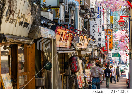 新宿の飲み屋街風景 123853898