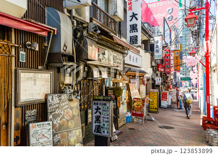 新宿の飲み屋街風景 新宿の飲み屋街風景 123853899