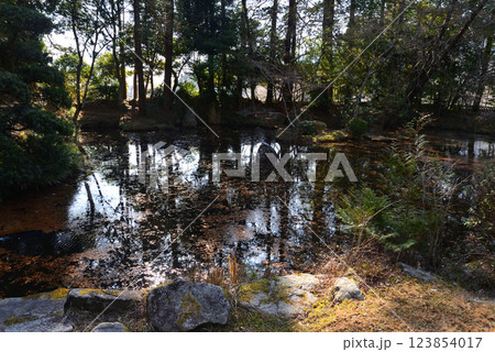 板敷山大覚寺　＃78 123854017