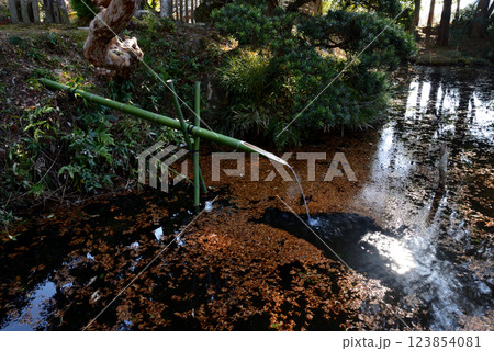板敷山大覚寺　＃82 123854081