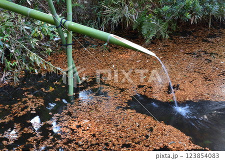 板敷山大覚寺 #84 板敷山大覚寺 #84 123854083