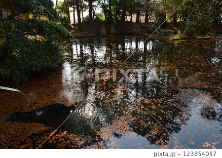 板敷山大覚寺　＃88 123854087