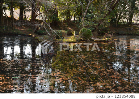 板敷山大覚寺 #90 板敷山大覚寺 #90 123854089