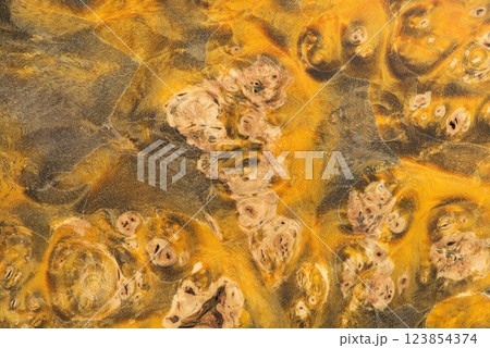 macro photo of a wooden background 123854374