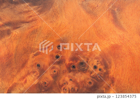 A macro photo of a burgundy-colored wooden background. Stabilized wood 123854375