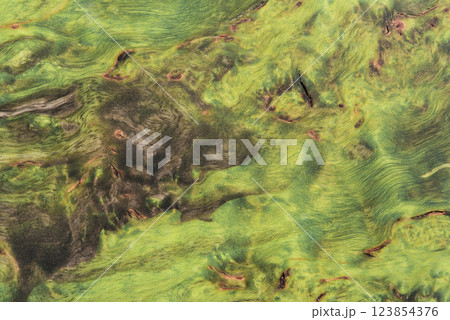 beautiful green background with a wood texture 123854376