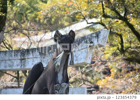 祐徳稲荷神社の狛狐(きつね) 祐徳稲荷神社の狛狐(きつね) 123854379