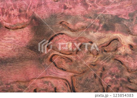 A macro photo of a burgundy-colored wooden background. Stabilized wood 123854383