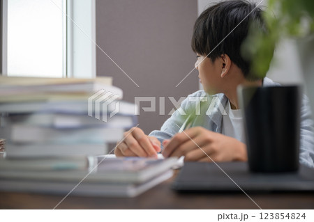 受験勉強やテスト勉強をする子どものイメージ　顔無し	 123854824