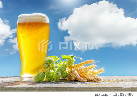 A glass of cold beer sits on a outdoor table 123855490