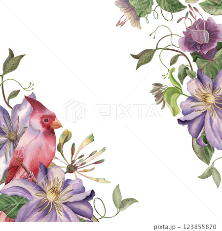 Watercolor frame with bright purple clematis flowers, lush green climbing vines and red cardinal bird. Hand drawn illustration for botanical design, postcards, wedding invitations in vintage style. Watercolor frame with bright purple clematis flowers, lush green climbing vines and red cardinal bird. Hand drawn illustration for botanical design, postcards, wedding invitations in vintage style. 123855870