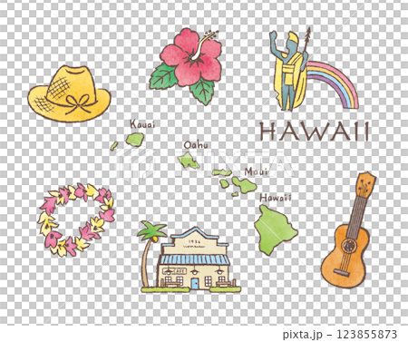 かわいいおしゃれなハワイのイラスト素材　ハワイアン　HAWAII 123855873