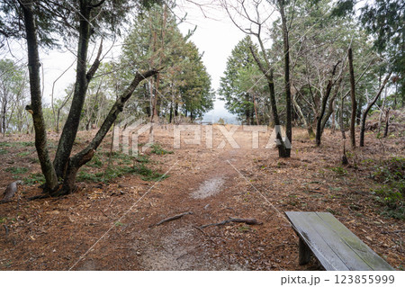 千畳敷跡(奥山雨山自然公園) 千畳敷跡(奥山雨山自然公園) 123855999