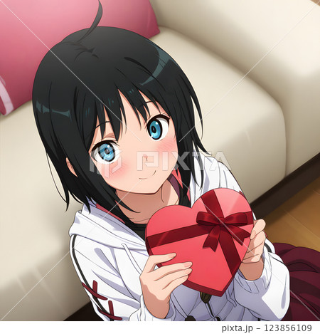プレゼントを渡す女性　贈り物　告白　バレンタイン　クリスマス　ハート 123856109