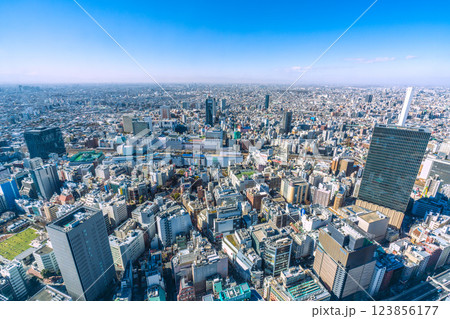 日本の東京都市景観 池袋・変貌する西口エリア（奥）、高層ビルも姿を現した＝令和7年2月11日 123856177