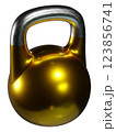 Olympic kettlebell, blank heavy cast iron powerlifting equipment 123856741