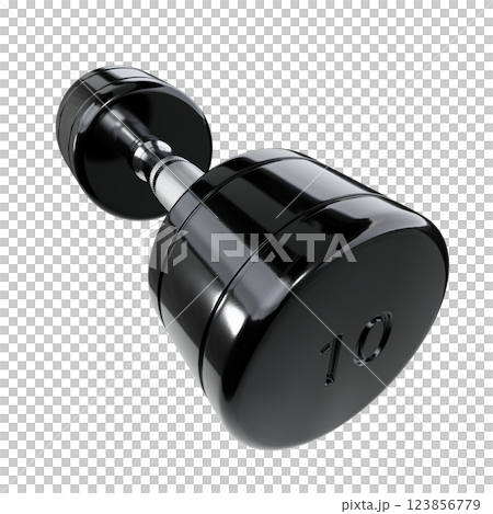 Round Chrome Dumbbell with number 10, weightlifting gym equipment wide angle view 123856779