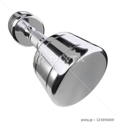 Blank Round Dumbbell, chrome weightlifting gym equipment wide angle view 123856800