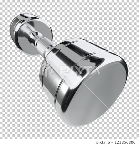 Blank Round Dumbbell, chrome weightlifting gym equipment wide angle view 123856800