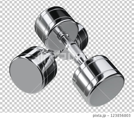Two blank Round Dumbbells, chrome weightlifting gym equipment top view 123856803