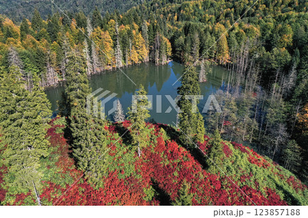 Footage of a forest decorated with autumn colors and their reflections in a lake. Footage of a forest decorated with autumn colors and their reflections in a lake. 123857188