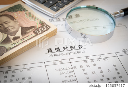 財務諸表とルーペ　貸借対照表　税務調査　経理　税務調査 123857417