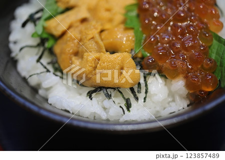 おちゃめ お茶目 ウニ 123857489