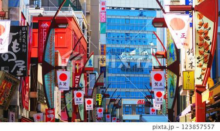 東京都台東区の上野アメ横商店街の風景 東京都台東区の上野アメ横商店街の風景 123857557