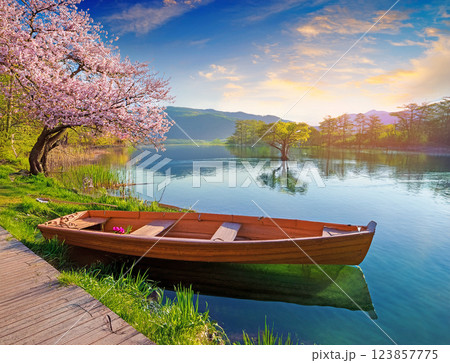 水辺のボート 水辺のボート 123857775