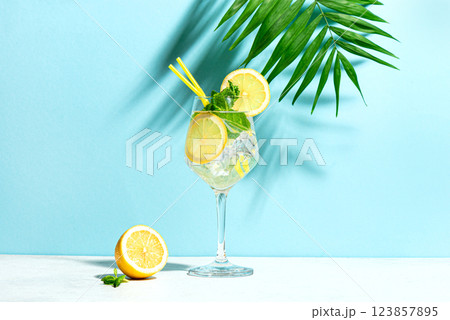 Glass of summer spritz cocktail with mint and lemon Glass of summer spritz cocktail with mint and lemon 123857895