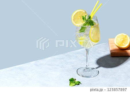 Limoncello Spritzer or Hugo Spritz cocktail drink. Limoncello Spritzer or Hugo Spritz cocktail drink. 123857897