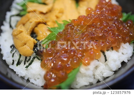 おちゃめ お茶目 ウニ 123857976