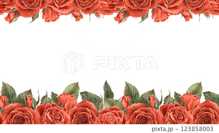 Velvet red bright roses with unblown buds and green leaves. Watercolor template with space for text. Suitable for decorating postcards, invitations, banners for weddings, Valentine's Day, birthdays 123858003