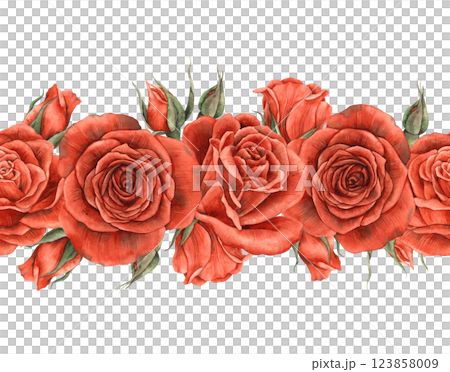 Border of red bright velvet roses with buds. Watercolor seamless border hand drawn in vintage style, suitable for banners, invitations, packaging, design for weddings, Valentine's Day, anniversary 123858009