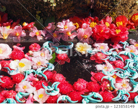 東京調布市　深大寺　花手水舎 123858149