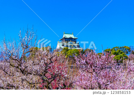 大阪城と梅林 123858153