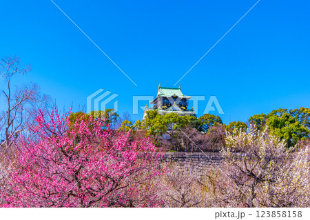 大阪城と梅林 123858158