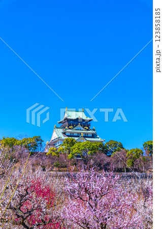 大阪城と梅林 123858185