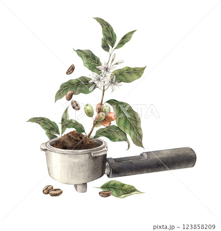 Portafilter, holder with ground coffee, branch of coffee tree, roasted beans and leaves lie. Watercolor illustration, hand-drawn on isolated background. For design of shops, cafes, menus, postcards Portafilter, holder with ground coffee, branch of coffee tree, roasted beans and leaves lie. Watercolor illustration, hand-drawn on isolated background. For design of shops, cafes, menus, postcards 123858209