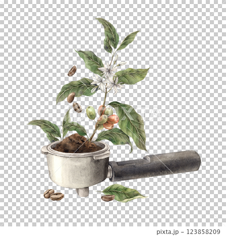 Portafilter, holder with ground coffee, branch of coffee tree, roasted beans and leaves lie. Watercolor illustration, hand-drawn on isolated background. For design of shops, cafes, menus, postcards Portafilter, holder with ground coffee, branch of coffee tree, roasted beans and leaves lie. Watercolor illustration, hand-drawn on isolated background. For design of shops, cafes, menus, postcards 123858209