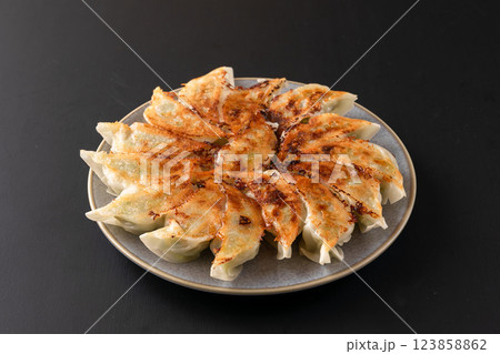 羽根つき焼き餃子　餃子　中華料理 123858862