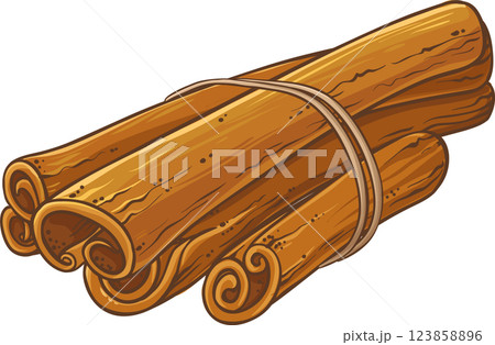 Cinnamon Sticks Colored Detailed Illustration 123858896