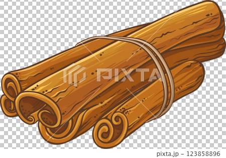 Cinnamon Sticks Colored Detailed Illustration 123858896