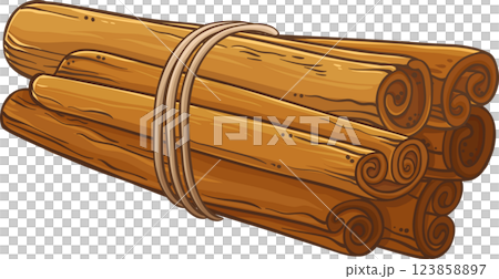 Cinnamon Sticks Colored Detailed Illustration Cinnamon Sticks Colored Detailed Illustration 123858897