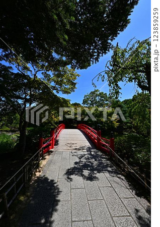 由志園の日本庭園 123859259