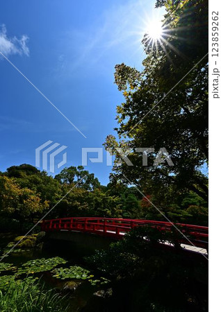 由志園の日本庭園 123859262