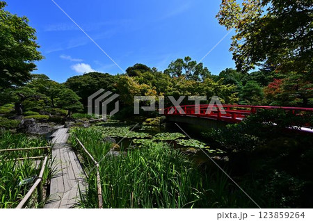 由志園の日本庭園 123859264